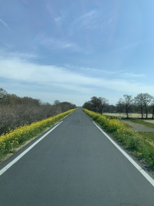 IMG_6603
