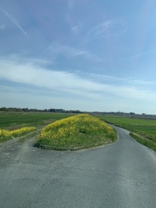 IMG_6604