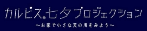 プロジェクション